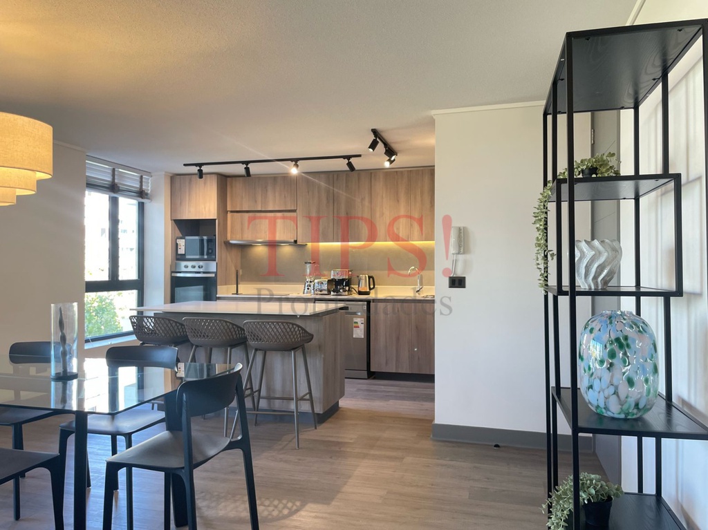 TIPSPROPIEDADES ARRIENDA DEPARTAMENTO EN LAS VIOLETAS 2171, PROVIDENCIA