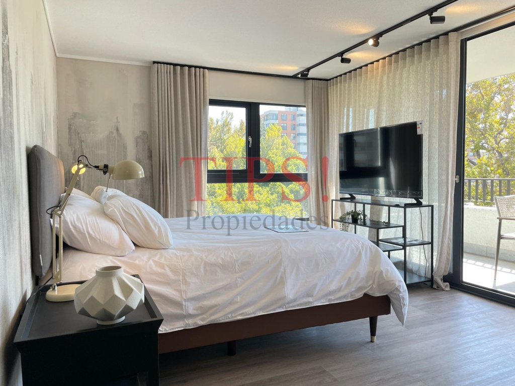 TIPSPROPIEDADES ARRIENDA DEPARTAMENTO EN LAS VIOLETAS 2171, PROVIDENCIA