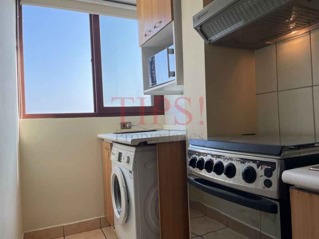 TIPSPROPIEDADES ARRIENDA DEPARTAMENTO EN RICARDO CUMMING 1350, SANTIAGO