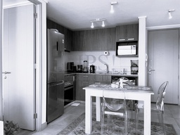 DEPARTAMENTO EN GENERAL MACKENNA 1555, SANTIAGO